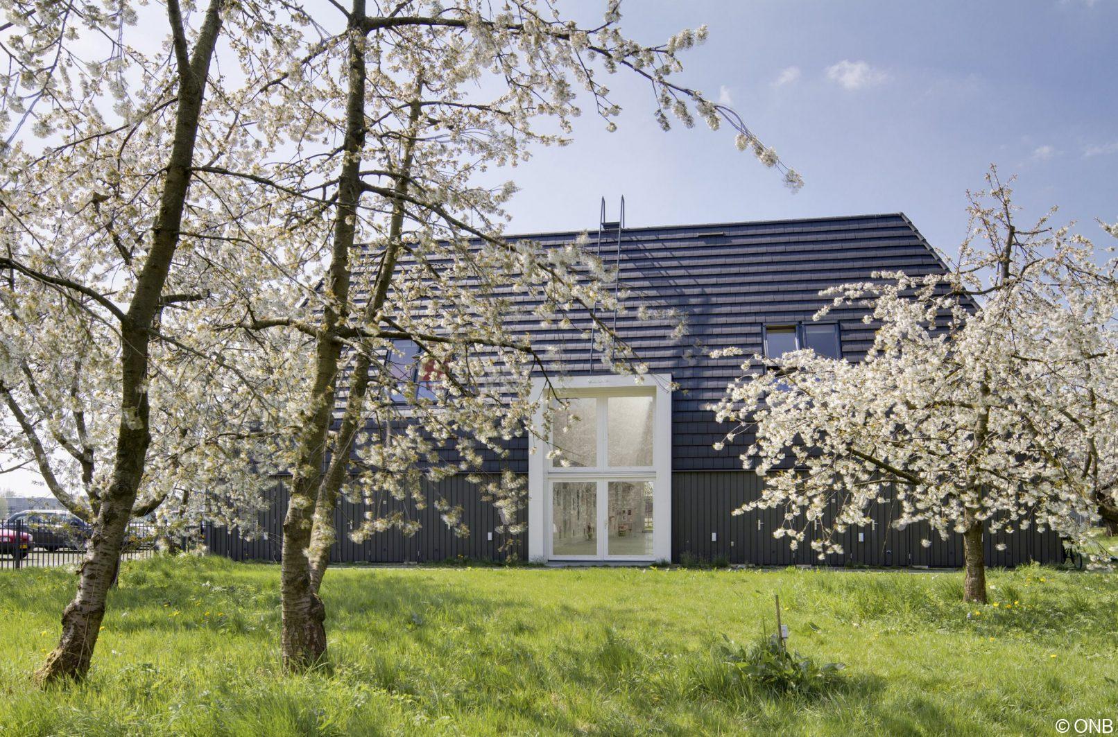 Met een groep kunstenaars wonen in een oude kersenboomgaard, in gebouwen die eruit zien als grote schuren. Atelierwoningen, Leidsche Rijn, Utrecht, CRKL architecten